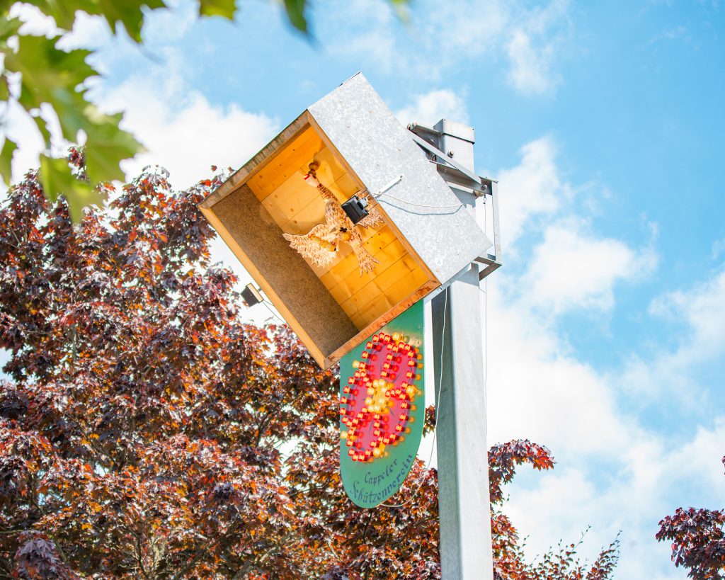 Vogelstange des Cappeler Schützenvereins in Lippstadt